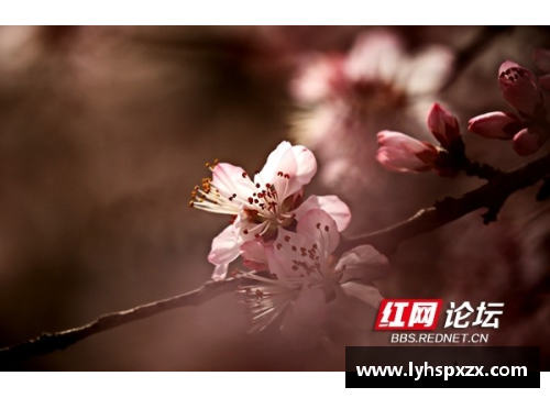 梅春：绽放山野，绕梦飞舞